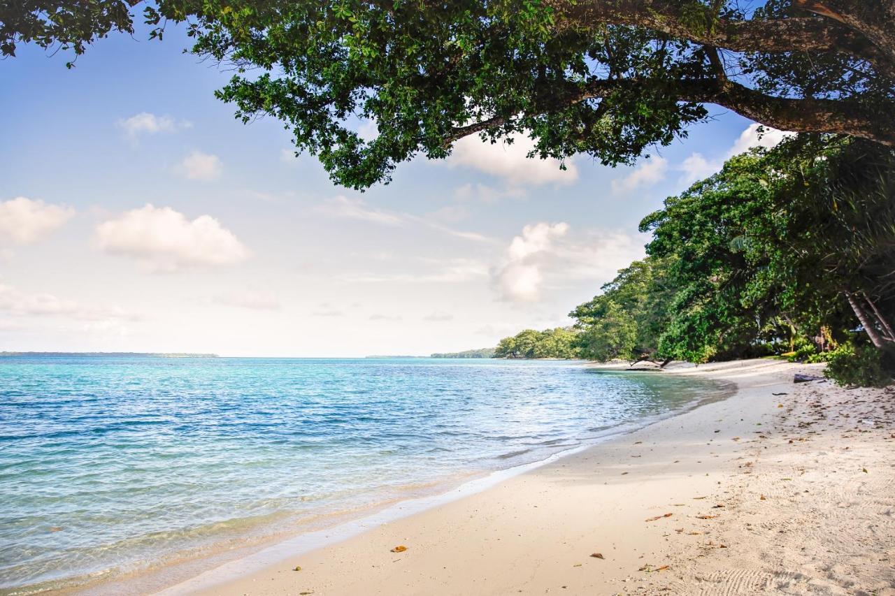 Barrier Beach Resort (Adults Only) 卢甘维尔 外观 照片